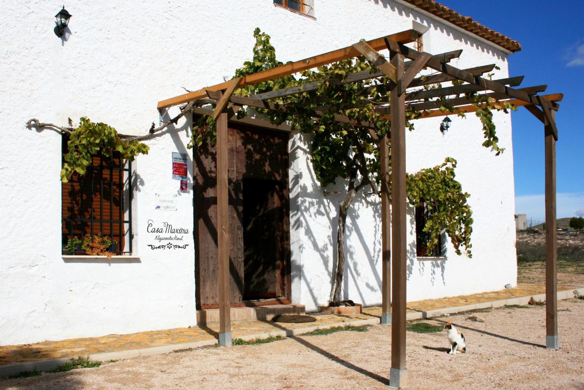 Casa Rural Casa Maxima Yecla Exteriér fotografie