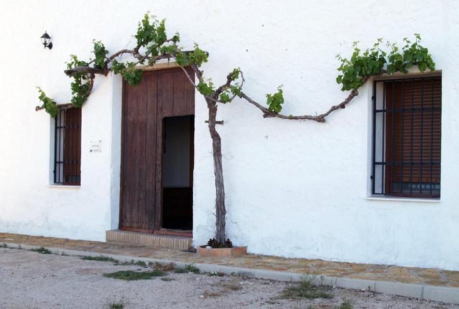 Casa Rural Casa Maxima Yecla Pokoj fotografie